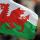#WelshWordWednesday #nosdacariad